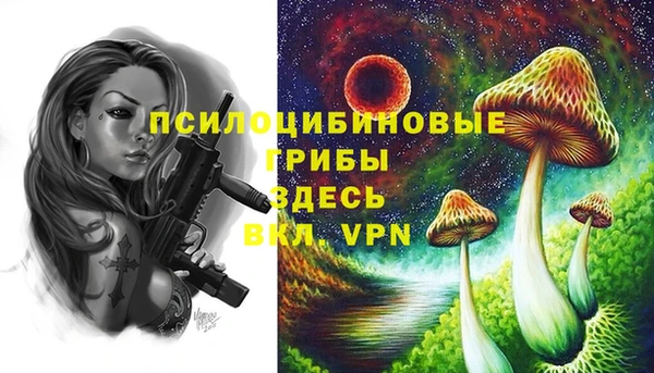 МДПВ Дмитровск