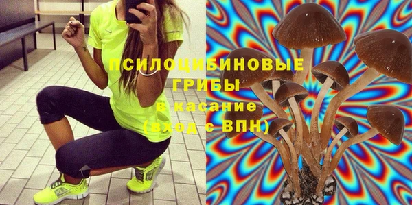 гашиш Дмитров