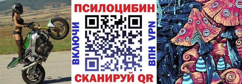 что такое наркотик KRAKEN Псилоцибиновые грибы Psilocybe Печоры